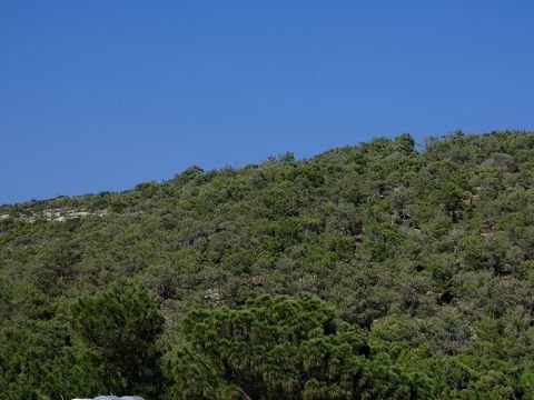 Shots from the Beach